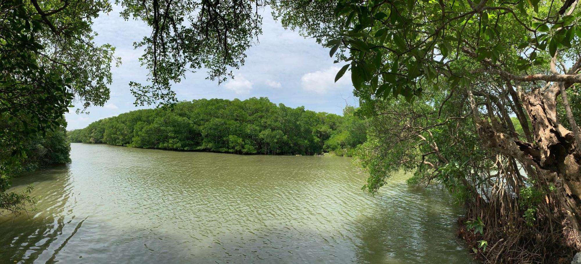 Villa De Lagoon View แทนกาลเล ภายนอก รูปภาพ