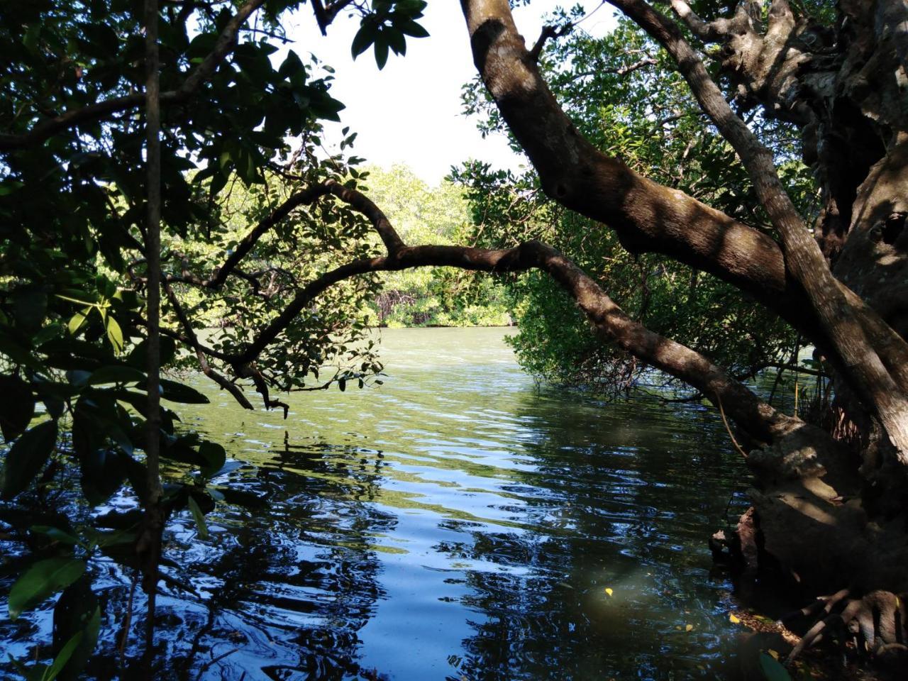 Villa De Lagoon View แทนกาลเล ภายนอก รูปภาพ